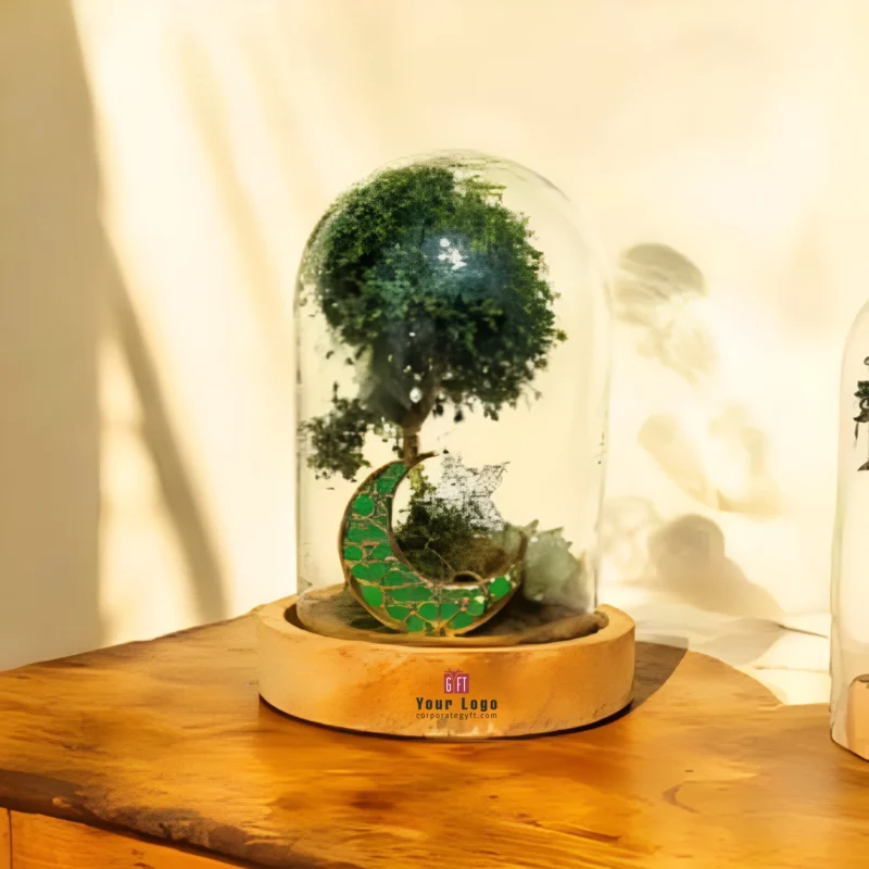 Buy Desktop Terrarium Table Dome Gift in bulk for Corporate Gifting | Corporate Gyft
