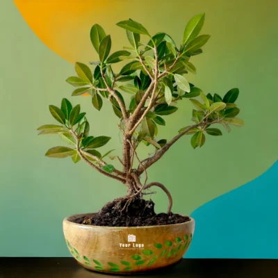 Buy Ficus Bonsai in Carved Mango Wood Bowl in bulk for Corporate Gifting | Corporate Gyft
