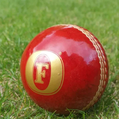 Buy Corporate Personalized Cricket Ball in bulk for Corporate Gifting | Corporate Gyft