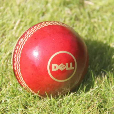 Buy Corporate Personalized Cricket Ball in bulk for Corporate Gifting | Corporate Gyft