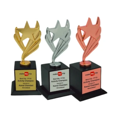 Buy Metal Star Strive Trophy - 143 in bulk for Corporate Gifting | Corporate Gyft