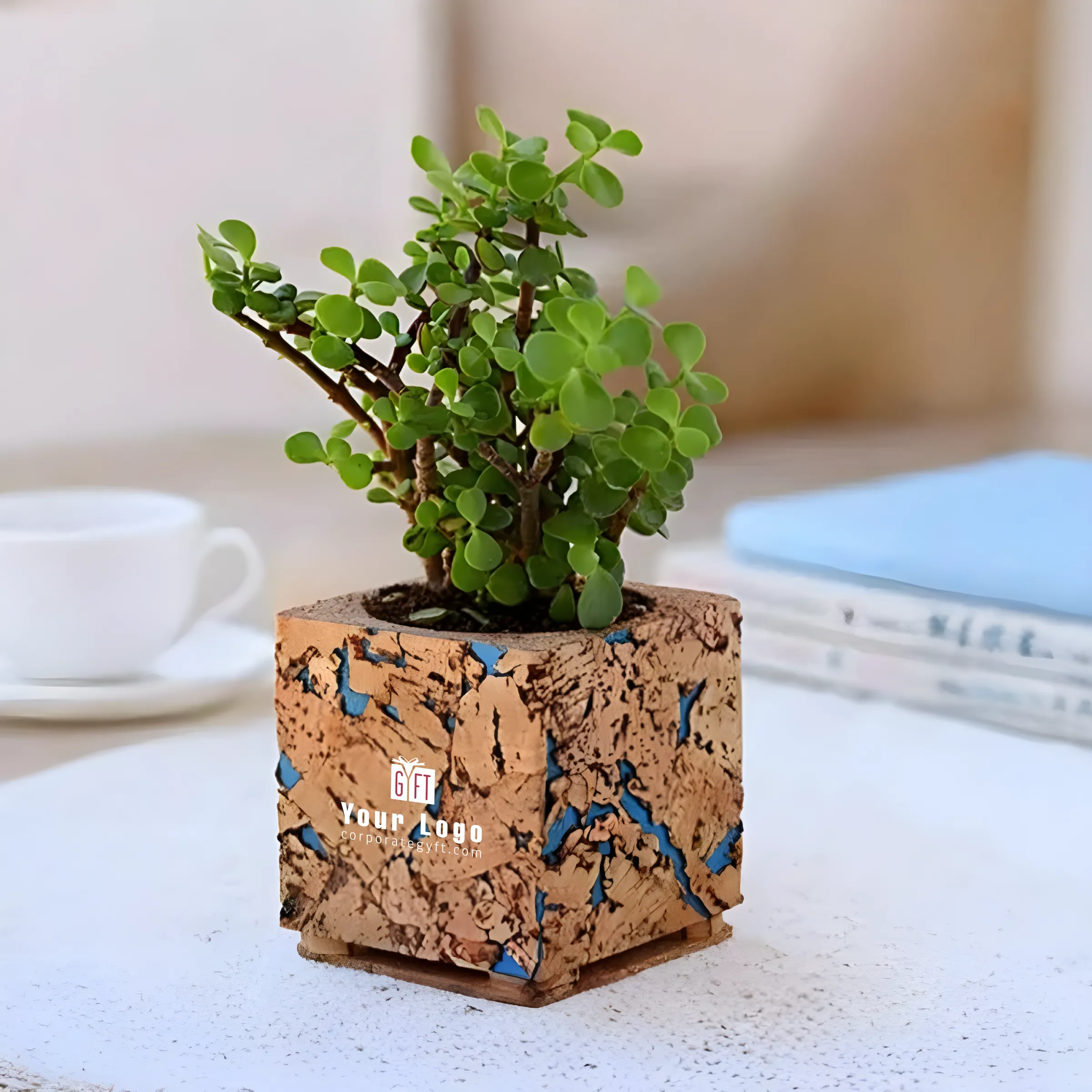 Natural Cork Planter with Jade Buy Natural Cork Planter with Jade in bulk for Corporate Gifting | Corporate Gyft