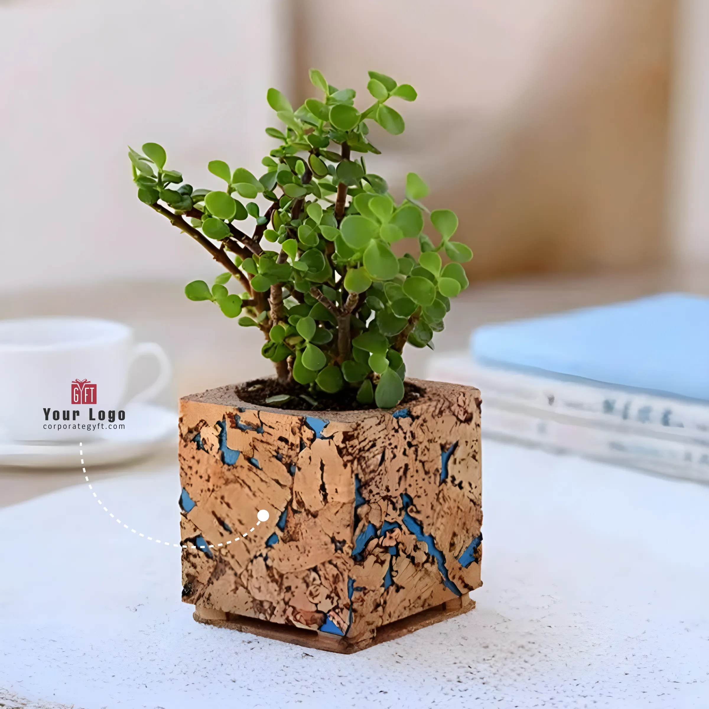 Natural Cork Planter with Jade Buy Natural Cork Planter with Jade in bulk for Corporate Gifting | Corporate Gyft