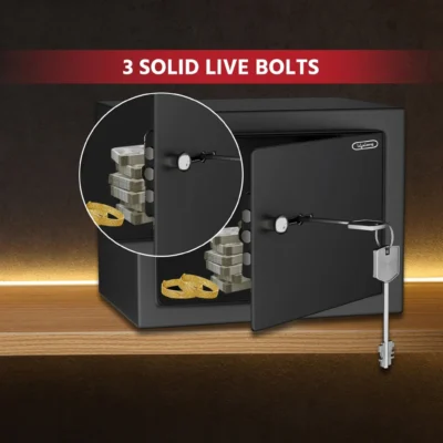 Buy Lifelong Secure Home Locker in bulk for Corporate Gifting | Corporate Gyft