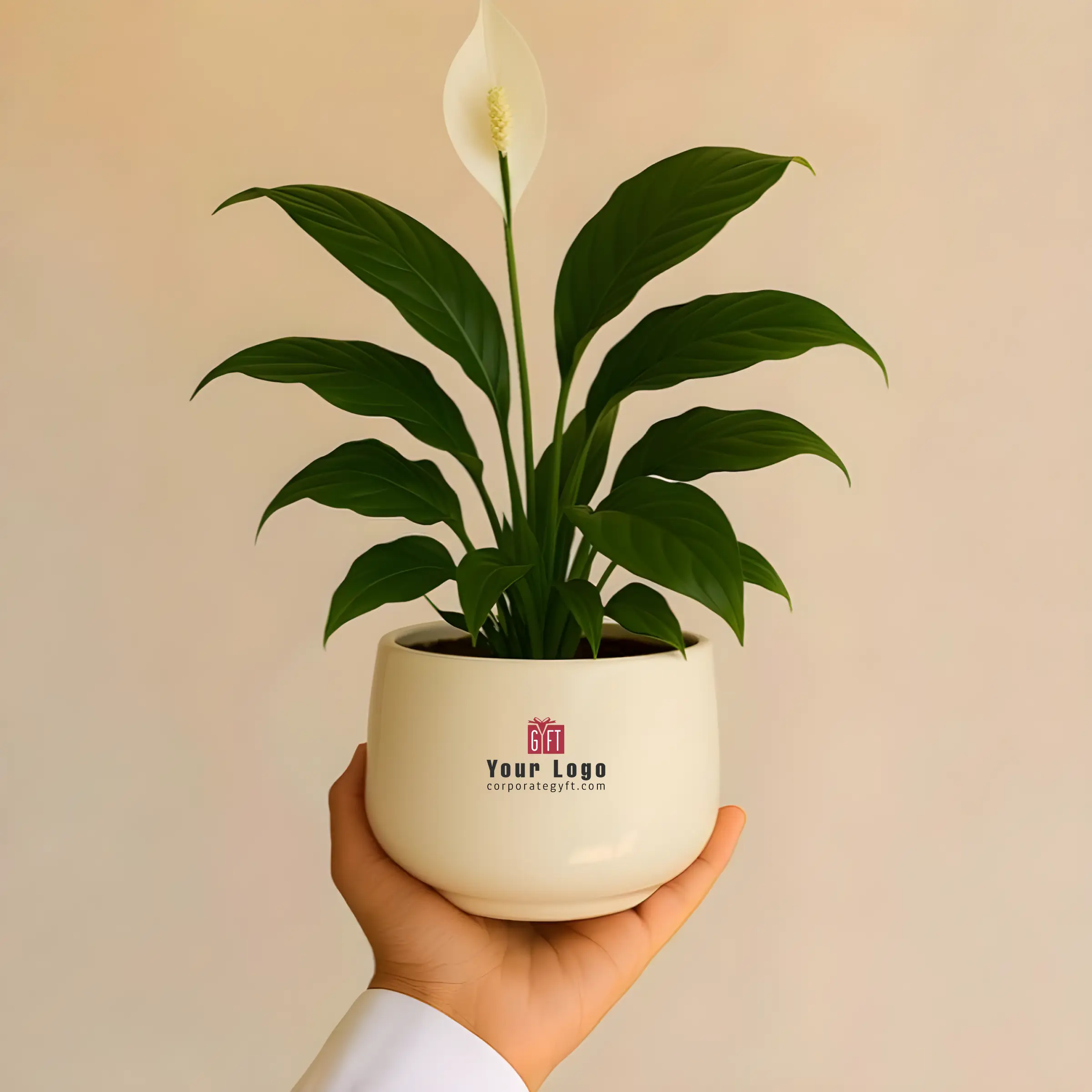 Decorative Ceramic Matka with Peace Lily Buy Decorative Ceramic Matka with Peace Lily in bulk for Corporate Gifting | Corporate Gyft