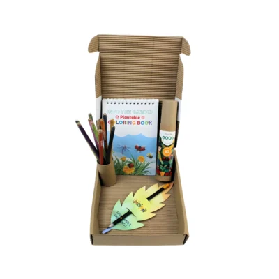 Buy Color and Grow Creative Surprise Box in bulk for Corporate Gifting | Corporate Gyft