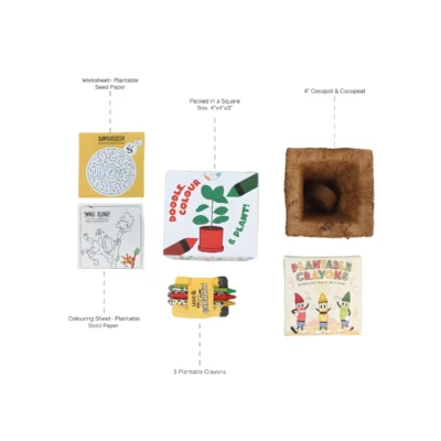 Buy DoodleGrowKit Eco Art Pack in bulk for Corporate Gifting | Corporate Gyft