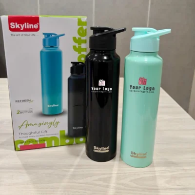 Buy Skyline Refresh Stainless Steel Bottle Set in bulk for Corporate Gifting | Corporate Gyft