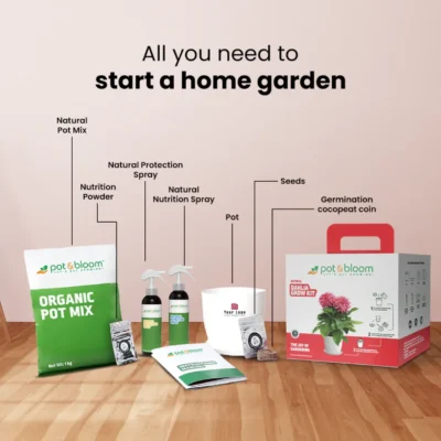 Buy Blooming Flower Garden Kit - Dahlia in bulk for Corporate Gifting | Corporate Gyft