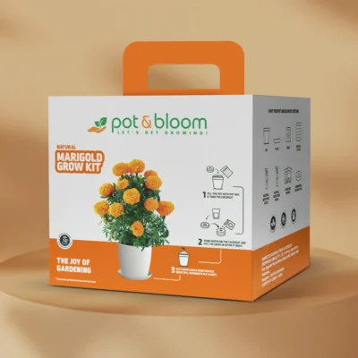 Buy Blooming Flower Garden Kit - Marigold in bulk for Corporate Gifting | Corporate Gyft