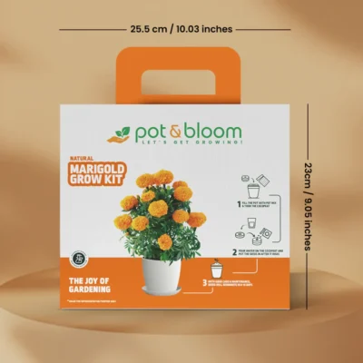 Buy Blooming Flower Garden Kit - Marigold in bulk for Corporate Gifting | Corporate Gyft