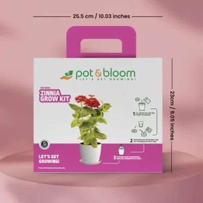 Buy Blooming Flower Garden Kit - Zinnia in bulk for Corporate Gifting | Corporate Gyft