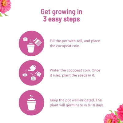 Buy Blooming Flower Garden Kit - Zinnia in bulk for Corporate Gifting | Corporate Gyft