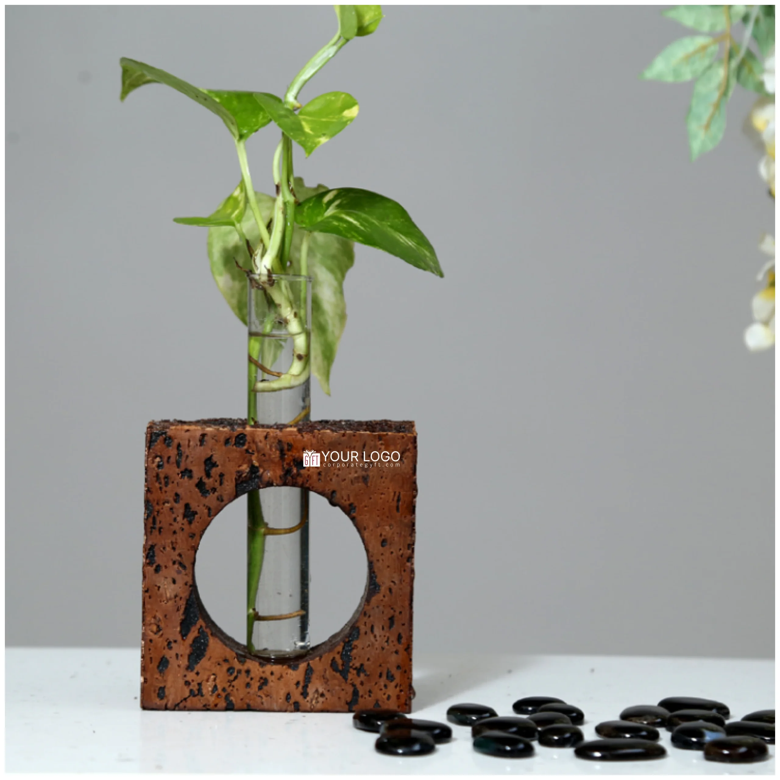 Rustic Bark Glass Planter Buy Rustic Bark Glass Planter in bulk for Corporate Gifting | Corporate Gyft