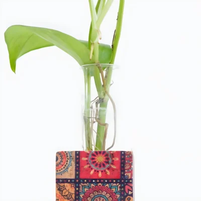 Buy Dual Cork Vase Planter Set in bulk for Corporate Gifting | Corporate Gyft