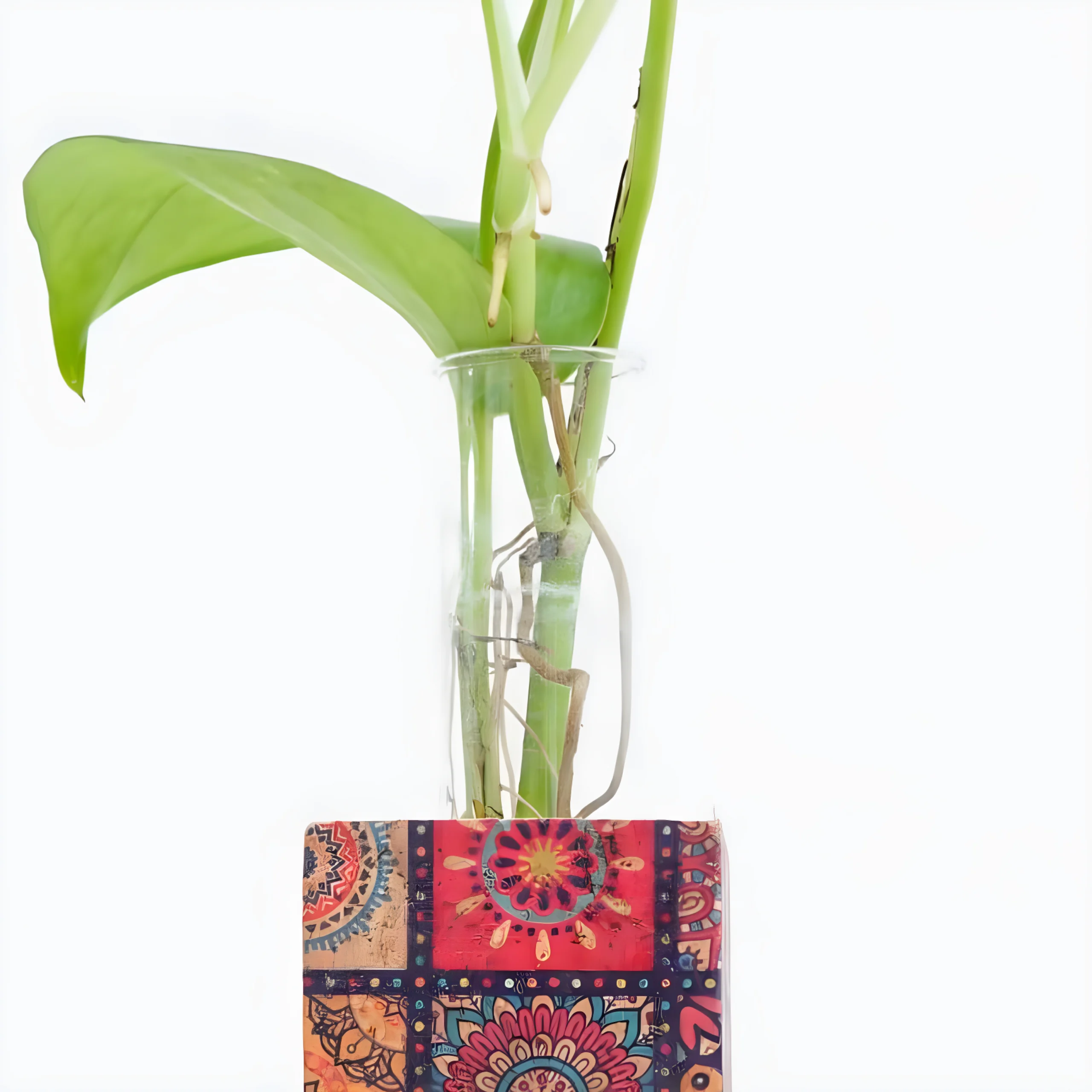 Cork Home Styling Gift Set Buy Cork Home Styling Gift Set in bulk for Corporate Gifting | Corporate Gyft