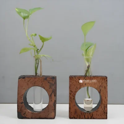 Buy Rustic Bark Glass Planter in bulk for Corporate Gifting | Corporate Gyft