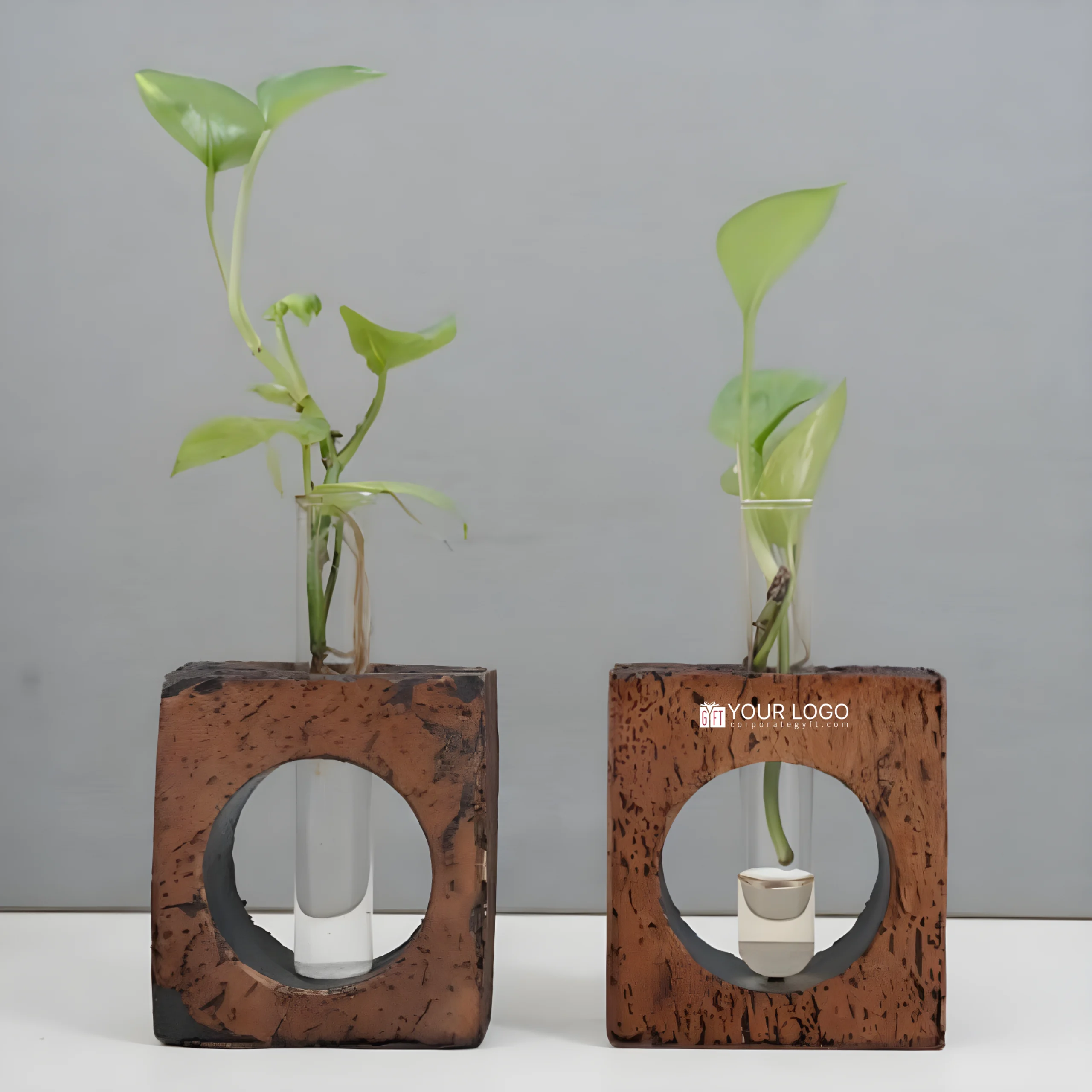 Rustic Bark Glass Planter Buy Rustic Bark Glass Planter in bulk for Corporate Gifting | Corporate Gyft