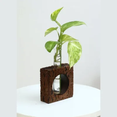 Buy Sustainable Tableware Gift Set in bulk for Corporate Gifting | Corporate Gyft