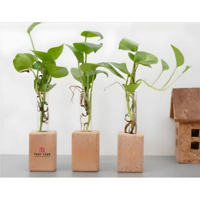 Buy Cork Test Tube Planter Trio in bulk for Corporate Gifting | Corporate Gyft