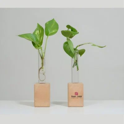 Buy Cork Test Tube Planter Trio in bulk for Corporate Gifting | Corporate Gyft
