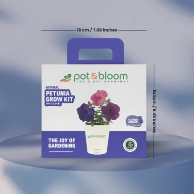Buy Vibrant Petunia Garden Kit - Medium in bulk for Corporate Gifting | Corporate Gyft
