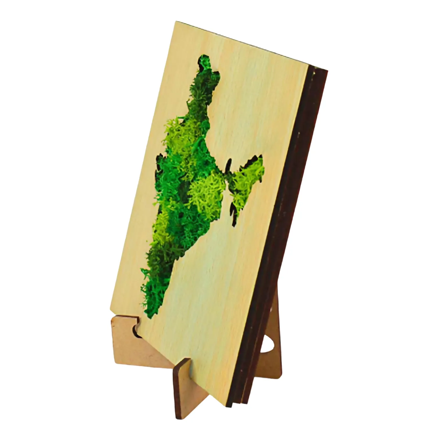 Bharat Forest Terrain Buy Bharat Forest Terrain in bulk for Corporate Gifting | Corporate Gyft