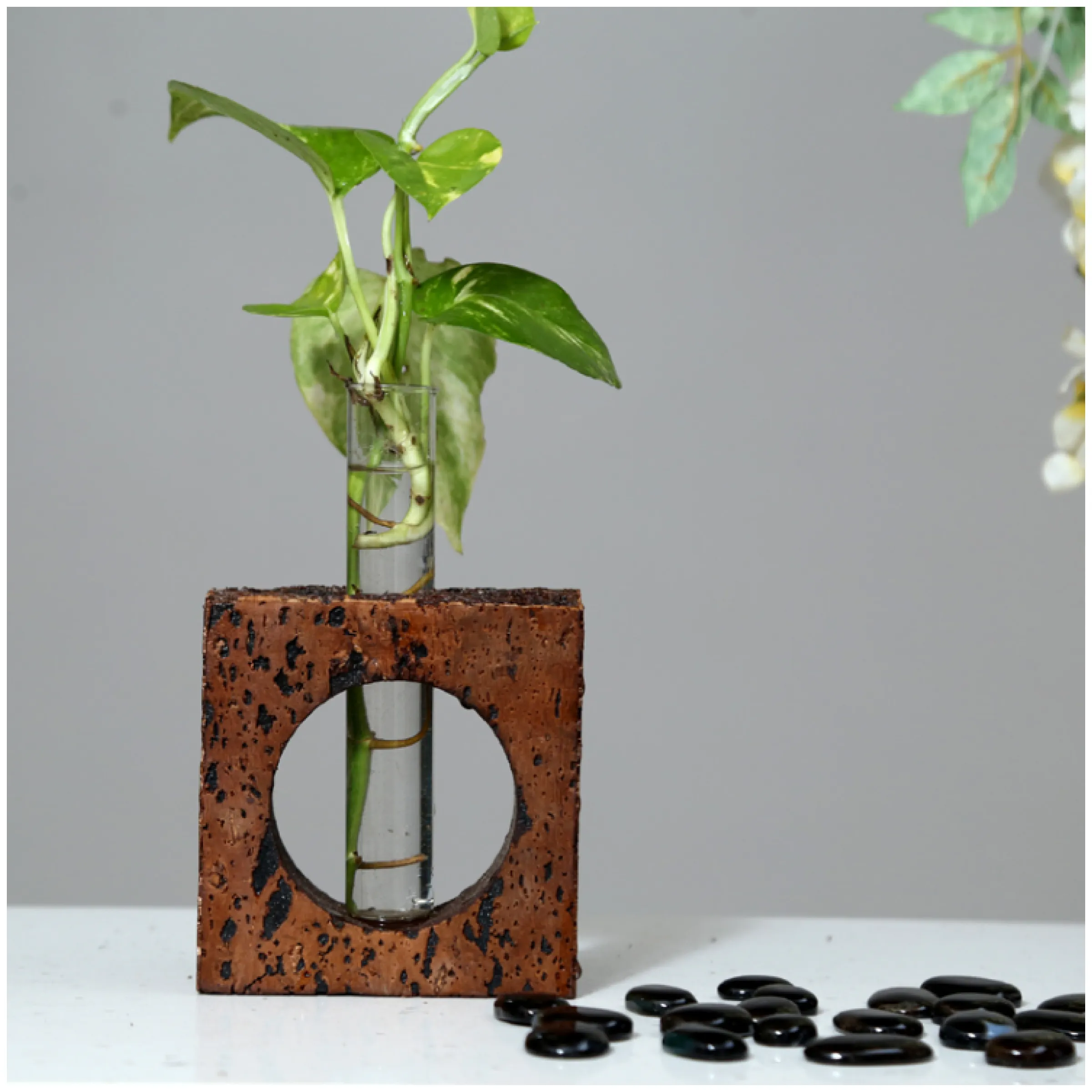 Cork Classy Modern Eco Gift Pack Buy Cork Classy Modern Eco Gift Pack in bulk for Corporate Gifting | Corporate Gyft