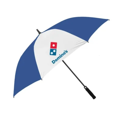 Buy 24.5 Inch 2 Fold Auto Elite Umbrella in bulk for Corporate Gifting | Corporate Gyft