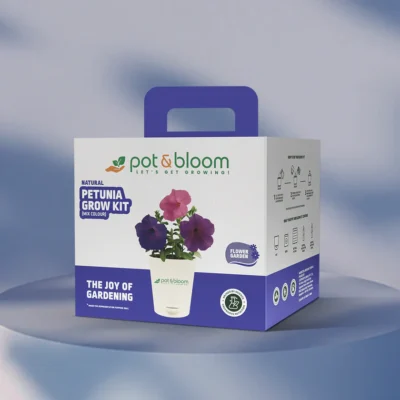 Buy Vibrant Petunia Garden Kit - Medium in bulk for Corporate Gifting | Corporate Gyft