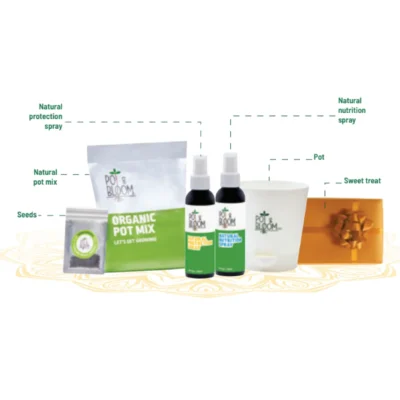 Buy Season’s Greetings Eco Hamper in bulk for Corporate Gifting | Corporate Gyft