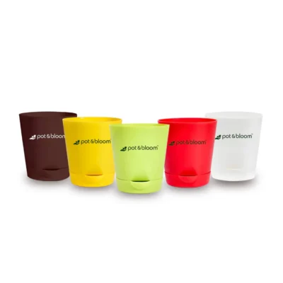 Buy 4 Inch Self Watering Planter Set of 5 in bulk for Corporate Gifting | Corporate Gyft