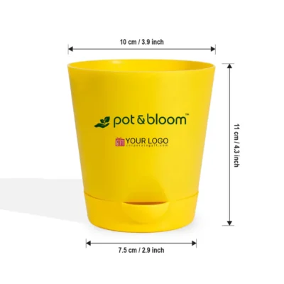 Buy 4 Inch Self Watering Planter Set of 5 in bulk for Corporate Gifting | Corporate Gyft