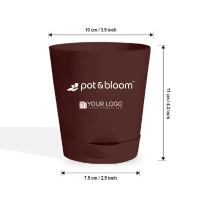 Buy 4 Inch Self Watering Planter Set of 5 in bulk for Corporate Gifting | Corporate Gyft