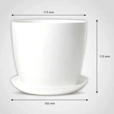 Buy 6 Inch Pot and Plate Set of 5 in bulk for Corporate Gifting | Corporate Gyft