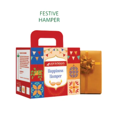Buy Eco Festive Happiness Hamper in bulk for Corporate Gifting | Corporate Gyft
