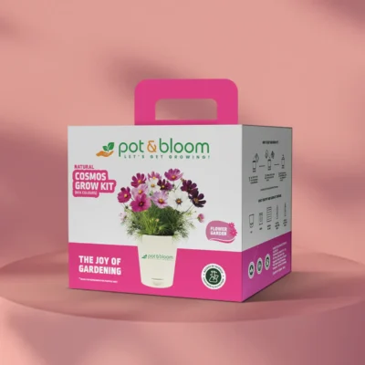Buy Vibrant Cosmos Garden Kit - Medium in bulk for Corporate Gifting | Corporate Gyft