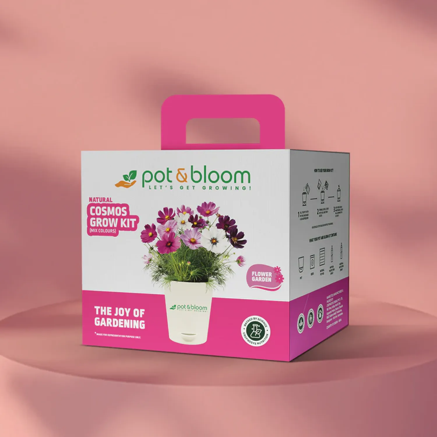 Vibrant Cosmos Garden Kit - Medium Buy Vibrant Cosmos Garden Kit - Medium in bulk for Corporate Gifting | Corporate Gyft
