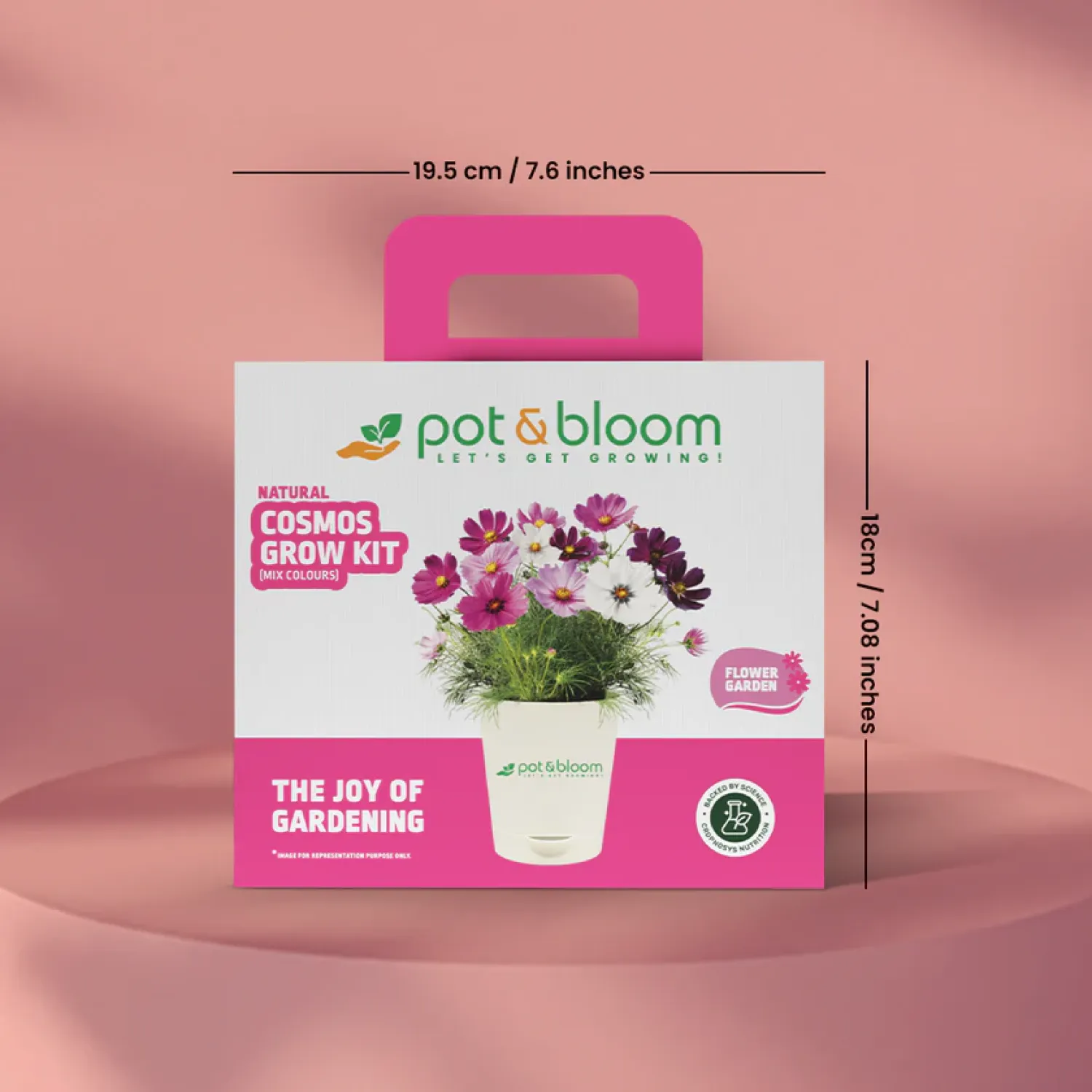 Vibrant Cosmos Garden Kit - Medium Buy Vibrant Cosmos Garden Kit - Medium in bulk for Corporate Gifting | Corporate Gyft