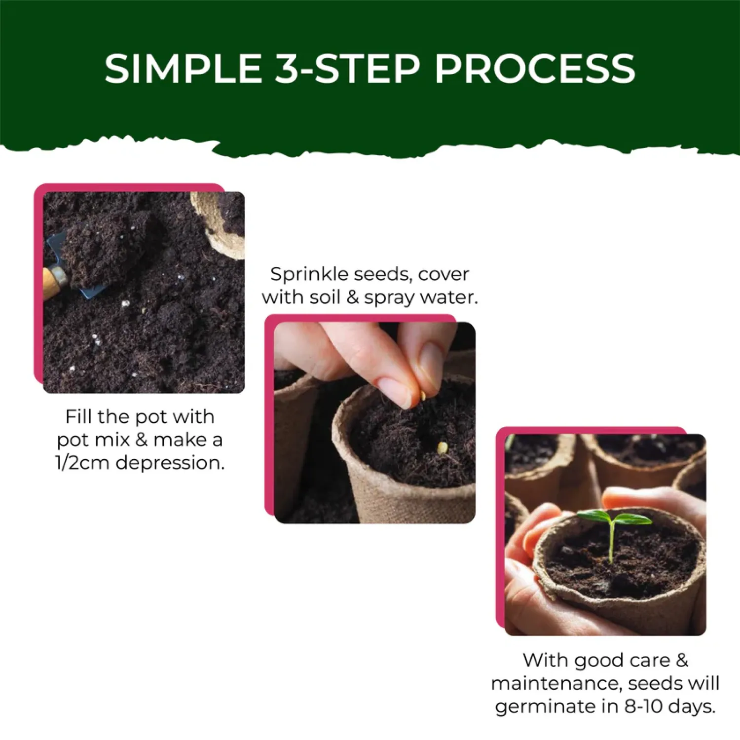 Vibrant Cosmos Garden Kit - Medium Buy Vibrant Cosmos Garden Kit - Medium in bulk for Corporate Gifting | Corporate Gyft