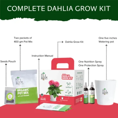 Buy Vibrant Dahlia Grow Kit - Medium in bulk for Corporate Gifting | Corporate Gyft