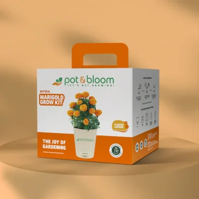 Buy Marigold Flower Garden Kit - Medium in bulk for Corporate Gifting | Corporate Gyft