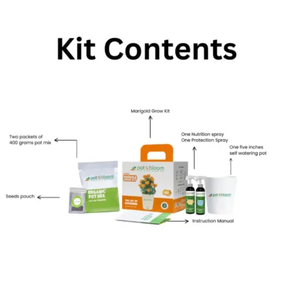 Buy Marigold Flower Garden Kit - Medium in bulk for Corporate Gifting | Corporate Gyft