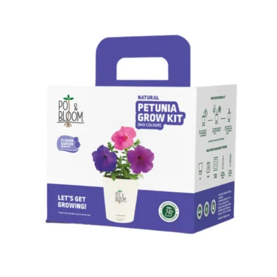 Buy Vibrant Petunia Garden Kit - Medium in bulk for Corporate Gifting | Corporate Gyft