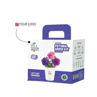 Buy Vibrant Petunia Garden Kit - Medium in bulk for Corporate Gifting | Corporate Gyft