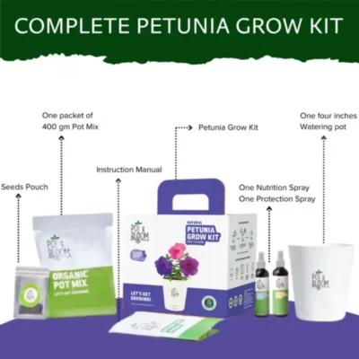 Buy Vibrant Petunia Garden Kit - Medium in bulk for Corporate Gifting | Corporate Gyft