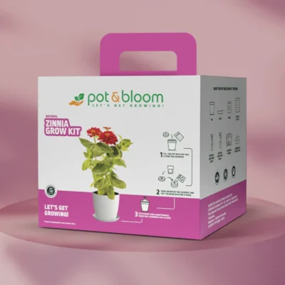 Buy Vibrant Zinnia Garden Kit - Medium in bulk for Corporate Gifting | Corporate Gyft