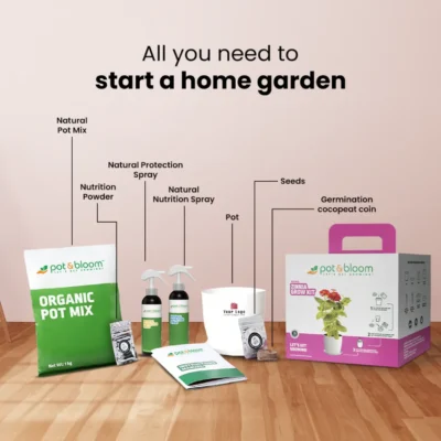 Buy Vibrant Zinnia Garden Kit - Medium in bulk for Corporate Gifting | Corporate Gyft