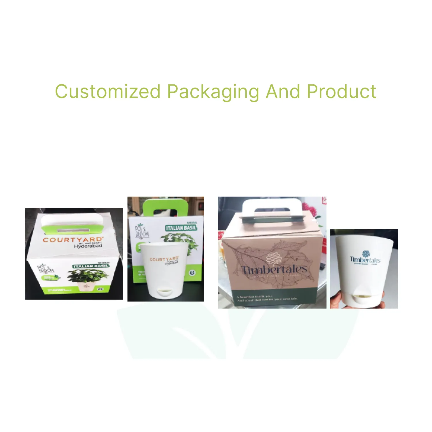 Fresh Peas Garden Kit Buy Fresh Peas Garden Kit in bulk for Corporate Gifting | Corporate Gyft