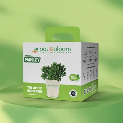Buy Parsley Herb Garden Kit in bulk for Corporate Gifting | Corporate Gyft